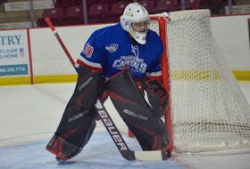 Summerside D. Alex MacDonald Ford Western Capitals goaltender Nathan Torchia made 30 saves in a 4-1 road win over the Valley Wildcats in the Maritime Junior Hockey League (MHL) on Saturday night. Torchia was selected the game’s third star.