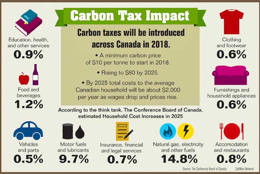 Carbon tax impact