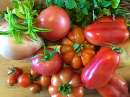 Sweet million tomatoes for snacks, standards for sandwiches and plum tomatoes for sauce. CONTRIBUTED
