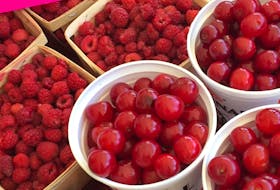 Perennial crops like these raspberries and cherries, often come in great quantities over a short period. You have to be ready for the harvest. CONTRIBUTED