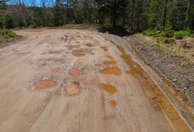 Motorists have to put up with potholes and deteriorated shoulders along Mountain Road in Christmas Island. Mountain Road topped the Canadian Automobile Association 2016 Worst Roads list.