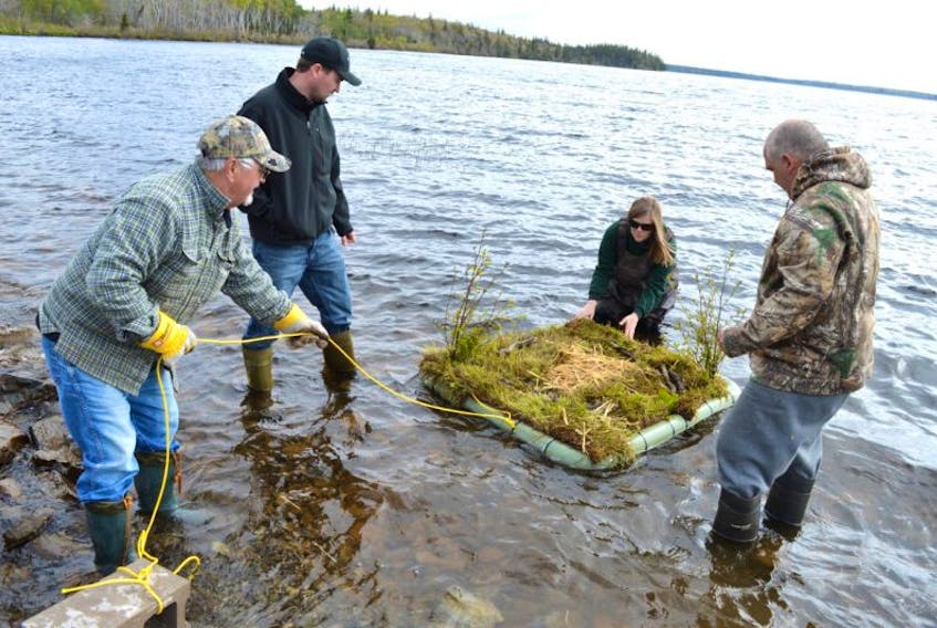 Members of the Port Morien Wildlife Association, from left, Stan Peach, treasurer, Jeff McNeil, association director, Danielle Crosby, an association member hired to facilitate the project, and Robert Boutilier, association president, test a floating island they built as part off their platform nesting area project for loons. The association says the loon population is seriously declining for various reasons, including shoreline development, predators and acid rain. They hope to help keep the population stable by building 15 of these loon islands to anchor in waterways in the Cape Breton Regional Municipality over the next two years.