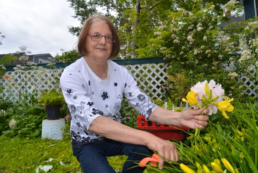 Dona Benac, president of the North Sydney Garden Club, cuts some flowers in the back yard of her home in North Sydney on Thursday. The North Sydney Garden Club will host its 50th annual rose and flower show at the Royal Canada Legion branch 19 on Tuesday.
