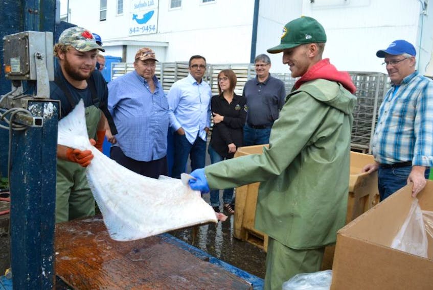 Jonathon Edwards, left, of Sydney and Joshua O’Neill, right, Glace Bay, wharf crew for Ka’le Bay Seafoods in Glace Bay, work at weighing halibut while, in back from left, Herb Nash, president of the 4VN Management Board Association, Mike Kelloway, chairperson of #bayitforward, Jenna Lahey, marketing and community outreach for Louisbourg Seafoods, and David MacKeigan of #bayitforward executive and, far right, Jan Voutier, manager of Ka’le Bay Seafoods, look on while touring the Ka’Le Bay wharf Friday. Community groups and partners in the fisheries industry in Glace Bay and Louisbourg are forming a community coastal coalition to bring the two communities together to work on innovative ideas to enhance seafood and ocean initiatives on the island.