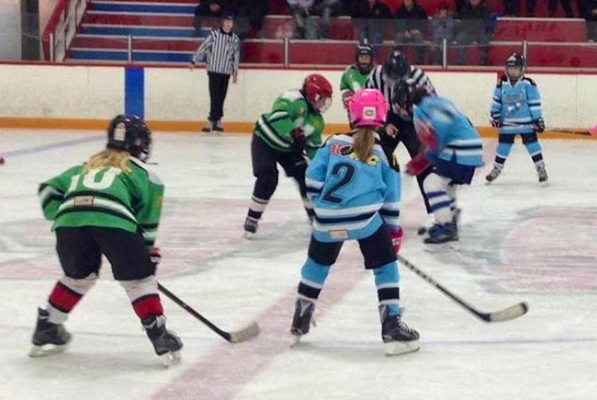 Pictured are female hockey players in game action this past winter. The sport continues to grow in Cape Breton with 350 females playing last season.