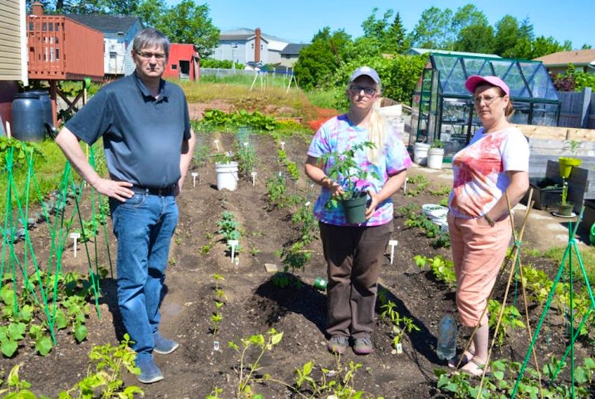 David MacKeigan, left, chairman of the board of directors for the Glace Bay Food Bank Society, chats with Kimberly McPherson, co-ordinator of the community garden, and Pat Hurley, one of the co-ordinators of the food bank. MacKeigan said the food bank was led to believe they would be receiving funding for the community garden and so went ahead with the hiring of a co-ordinator back in April. After  spending several thousand dollars designated for food on this position, they have been told their funding has been denied.