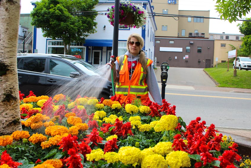 Sarah Jean Lohnes, a Cape Breton Regional Municipality summer worker, waters flowers in front of the civic centre in downtown Sydney in this July 2019 file photo. Council voted earlier this week to bring back its Communities in Bloom program, which saw flowers and banners placed in downtown areas across the municipality. Greg McNeil/Cape Breton Post