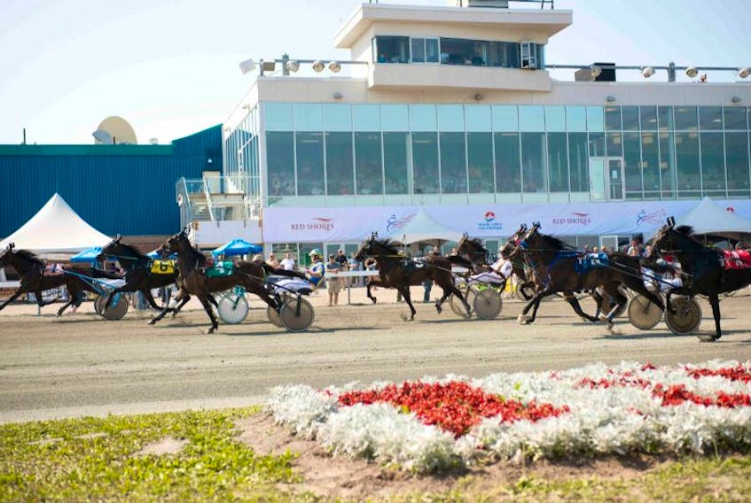 The drivers take their horses past the grandstand as they head for the first turn during Race 8 at the CDP Tuesday afternoon. The race was won by Corey MacPherson driving Unsinkableone.