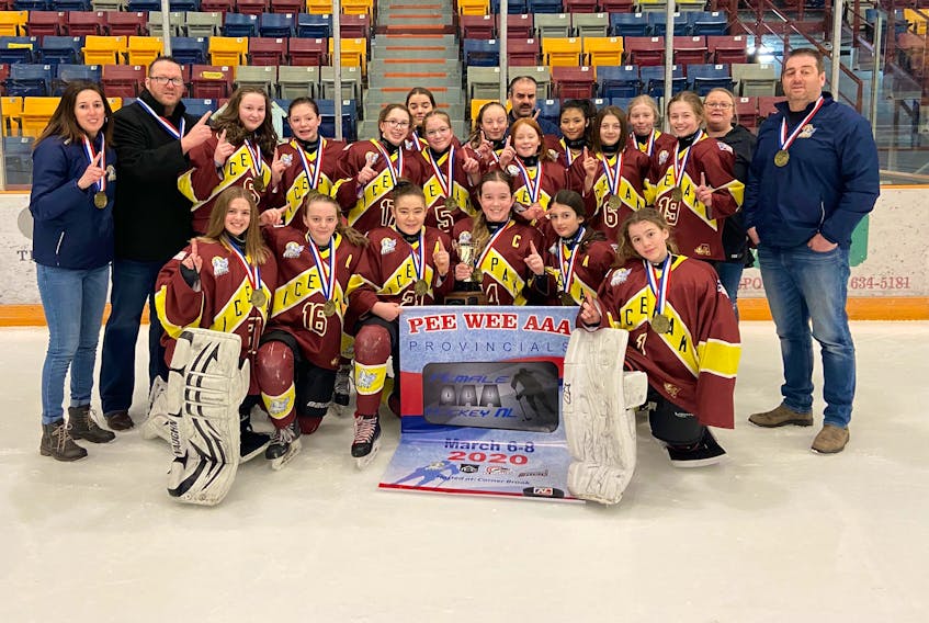 The Central IcePak female AAA peewee team are provincial champions after the team defeated the Western Warriors 9-1 in the championship game March 8 at the Corner Brook Civic Centre. 
Members of the team are: front (left-right) Kaleigh Hemeon, Katie Baggs, Grace Whalen, Alyssa Oake, Georgia Collins and Maya Kelloway; and back row: trainer Yolanda Collins , head coach Jody Bishop, Emma Bishop, Hannah Elliott, Madison Fudge, Kayleigh Feltham, Katelyn Morgan, Jayda Crant, Lee Baggs (Assistant Coach), Georgia Elliott, Suri Roberts, Karissa Adams, Abbey Wells, Sophia O’Brien, director of personnel Amy Bishop and assistant coach  Greg Feltham. Contributed photo 