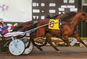 In this 2019 file photo, Century Farroh driven by Sylvain Filion, is shown at a race in Ontario. Century Farroh has won more than $1.2 million over his career. CONTRIBUTED • RATCHFORD FAMILY