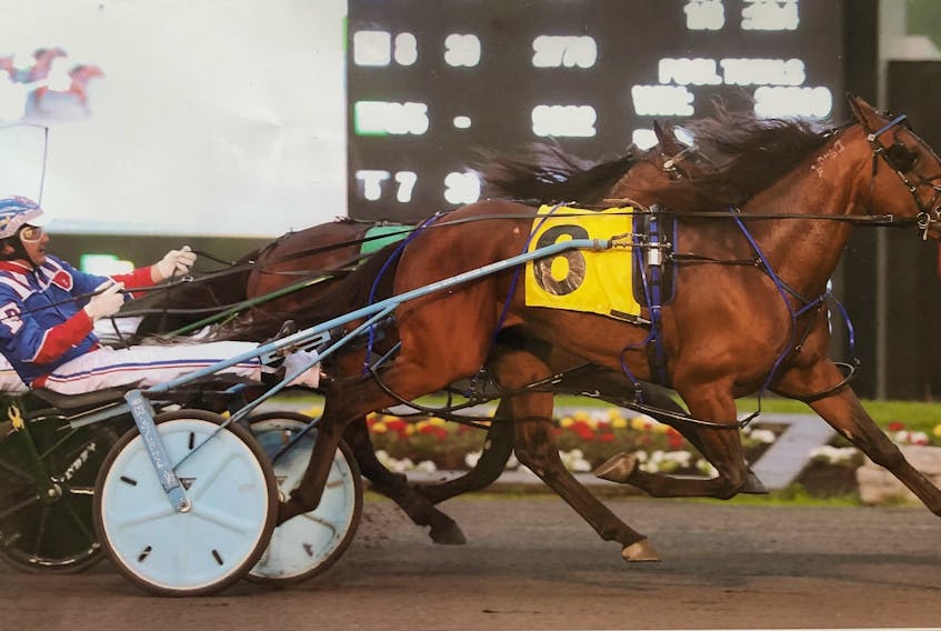 In this 2019 file photo, Century Farroh driven by Sylvain Filion, is shown at a race in Ontario. Century Farroh has won more than $1.2 million over his career. CONTRIBUTED • RATCHFORD FAMILY