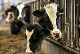 It should be illegal to eliminate products like dairy from the food chain without redirecting them and giving them a new economic purpose, says food researcher Sylvain Charlebois.