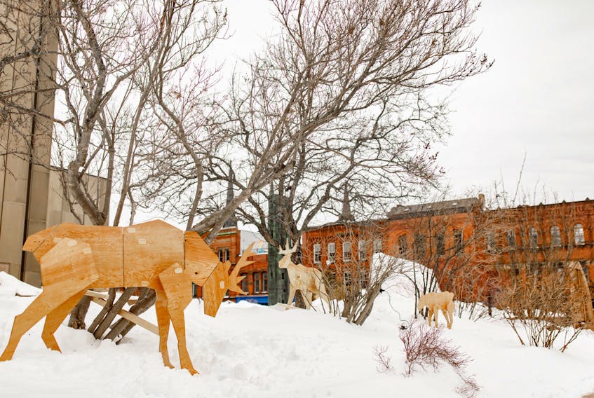 Wooden art installations, like these caribou outside the Confederation Centre of the Arts, are part of a new month-long festival, Ice City, in Charlottetown. 