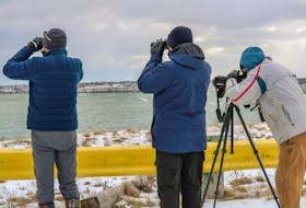 Cape Bretoners look through scopes and binoculars at some nearby diving ducks at the sixth annual Harbour Hop on Sunday. JESSICA SMITH • CAPE BRETON POST