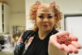 Chef Ilona Daniel focused on using pink peppercorn as the key ingredient for this month's recipe, pink peppercorn chicken alfredo, at the Culinary Institute of Canada kitchen in Charlottetown on Feb. 22. Daniel Brown/The Guardian