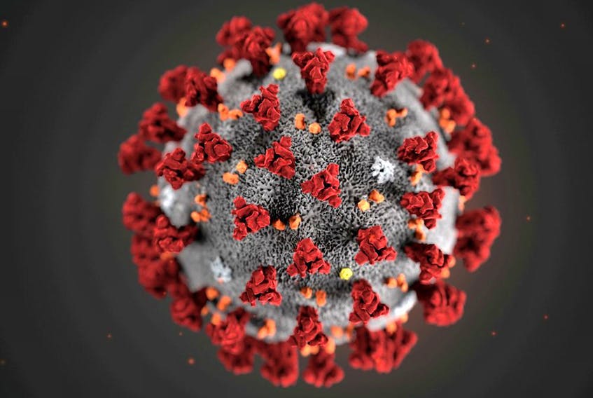 FILE PHOTO: The ultrastructural morphology exhibited by the 2019 Novel Coronavirus (2019-nCoV), first detected in Wuhan, China, is seen in an illustration released by the Centers for Disease Control and Prevention (CDC) in Atlanta, Georgia, U.S. January 29, 2020. 