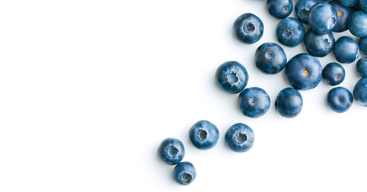 Blueberry bliss: Turn the much-loved summer berry into a must-have Christmas dessert | SaltWire