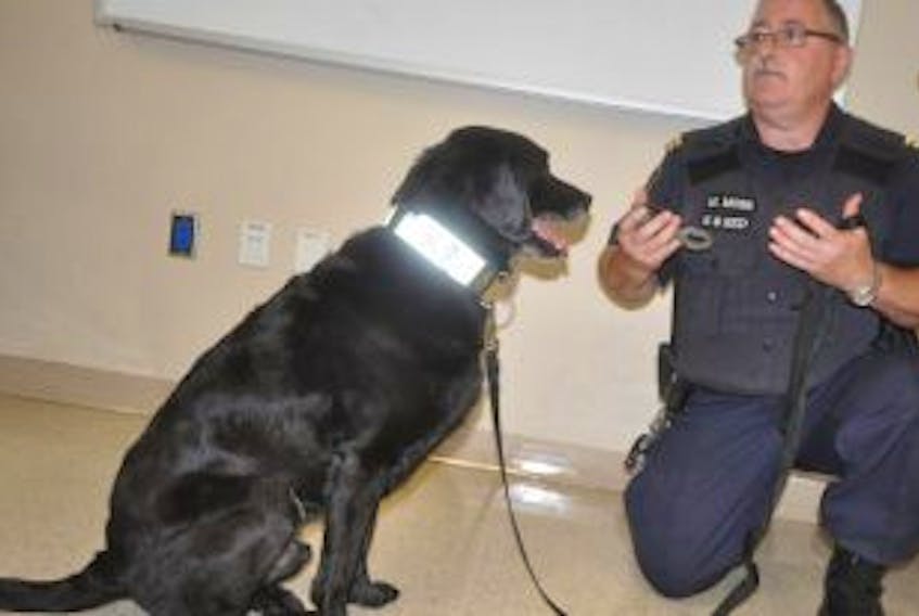 ['Media were given a demonstration by drug detection K9 team Red and Mike Moss, one of four inside Springhill Institution and 11 in the province.']