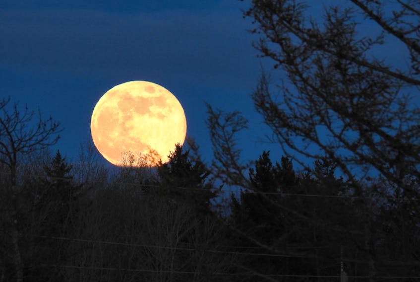 There was a lot of cloud around, but Saturday’s Full Flower Moon did make an appearance in some areas. Donna Langille snapped this awesome photo from her home in Amherst, N.S.  Last weekend’s moon was a special moon — it was a seasonal Blue Moon. By definition, it’s the third full moon in a season that has four and on average and occurs about every three years.