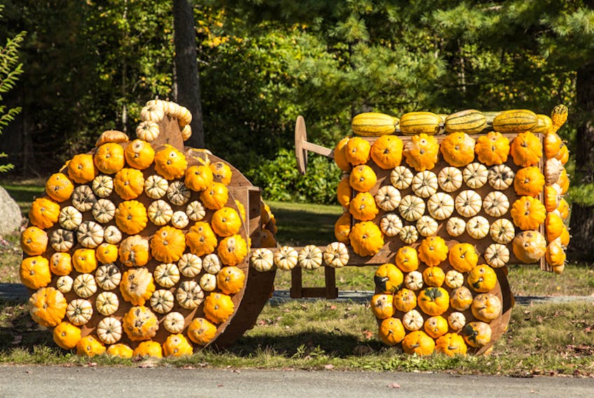 How amazingly clever is this? Richard Pentz came upon this tractor made of gourds at Wile's Lake Farm Market just outside of Bridgewater N.S.