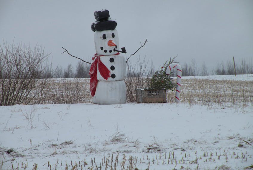 The warming trend on track for the end of the week doesn’t worry frosty.  Ray Bradshaw came across this giant snowman near Berwick NS. He’s cleverly crafted with bales of hay wrapped in white plastic.  He surely puts a smile on the faces of passers-by.   Thanks Ray!