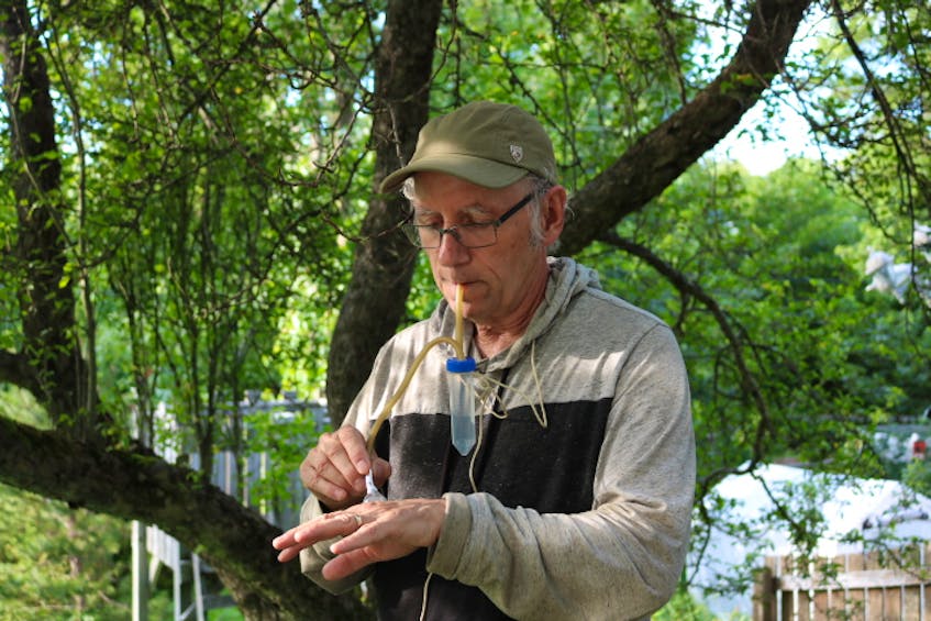 Retired veterinarian Hugh Whitney is part of a Memorial University research team studying mosquito-borne diseases. The team relies on citizen scientists across the province who use devices called pooters to collect mosquito samples. Whitney is pictured demonstrating how to use a pooter. -CONTRIBUTED