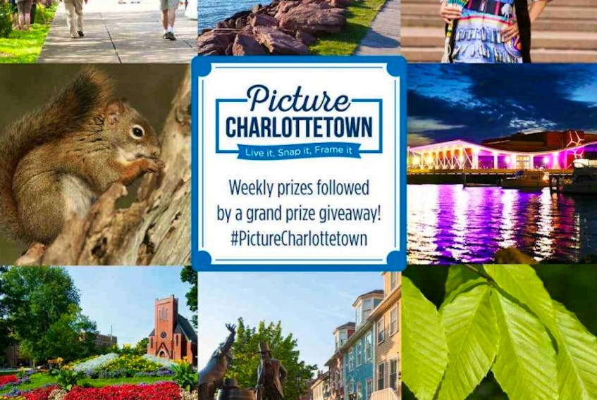City of Charlottetown photo contest