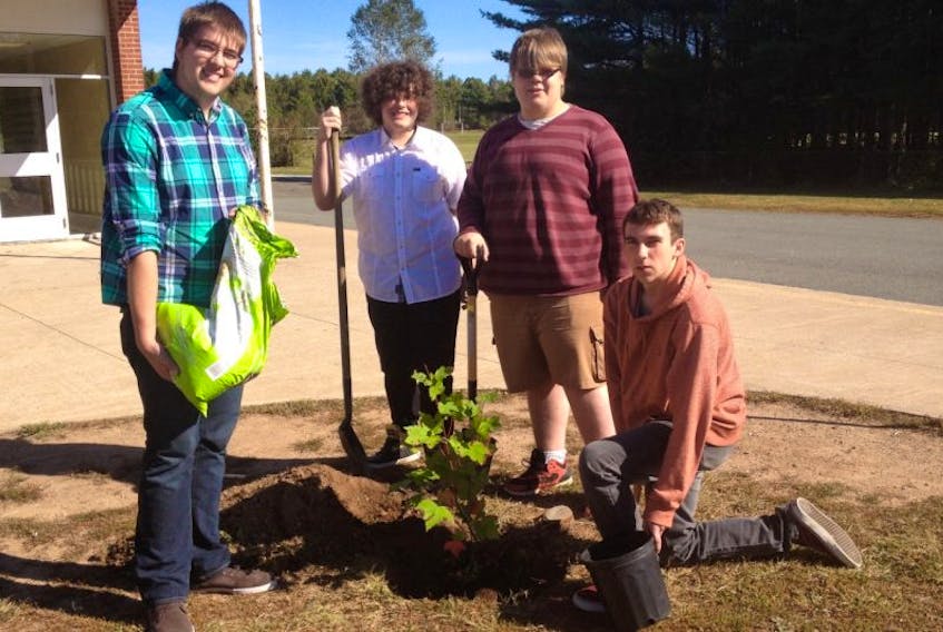 <p>Dylan Shepherd, Evan Parker, Devin Moore and Chantz Doherty planted a red Maple at Central Kings High School in memory of their longtime friend and classmate Danny Arnold, who passed away in 2013. The Sept. 24 planting coincided with National Tree Day.</p>