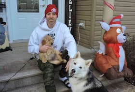 With a new Christmas single The Bells Are Ringing now available on streaming services, Enfield rapper Classified (a.k.a. Luke Boyd) looks forward to quality holiday time with his family and their pets, Nova and new pup Winston.