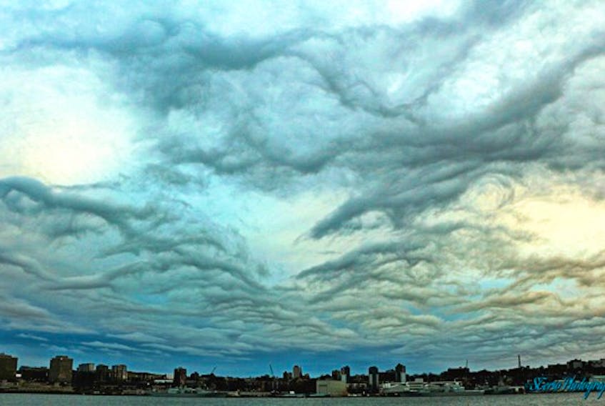 This intriguing photo looks more like a painting! The shot of undulatus asperatus or asperitas clouds was taken last week by Sylvie Theriault at Alderney Landing in Dartmouth, N.S.