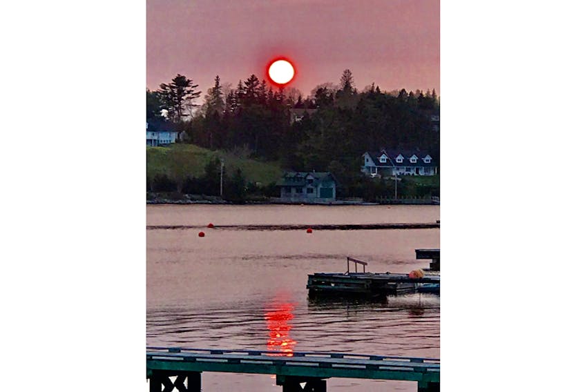 Carol Hansen witnessed this spectral sunset last Friday evening, May 31, in Chester NS. Hansen admits to having increased the colour saturation to match the red of the sun. The water’s reflection is accurate; the sun, on the other hand, remained white but revealed an interesting halo.  “What made the sunset unique was that it didn’t colour anything. The sky and sea remained flat grey. Yet the orb of the sun and its reflection were screaming tomato red”.