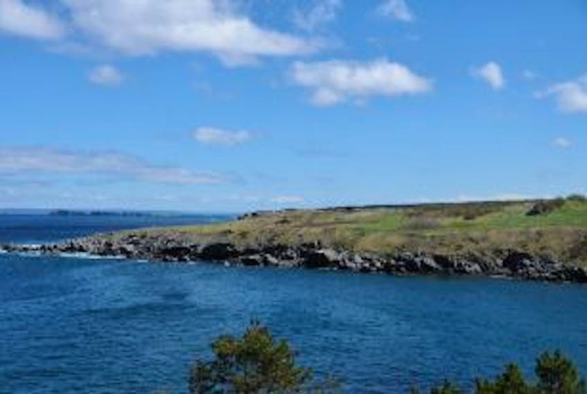 ["Crocker's Cove Point is one of the few properties in Carbonear zoned for conservation."]