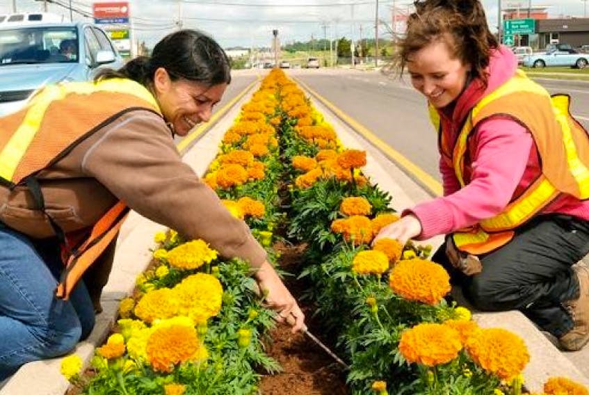 City of Charlottetown workers Kelly Foote, left, and Kelley Toombs weed the flowers in the new meridian flower beds at the Charlottetown Mall/Canadian Tire intersection. The work is part of the citys Communities in Bloom initiative. Guardian photo by Heather Taweel
