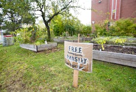 The community garden at the Bloomfield Centre, seen in Halifax on Wednesday Oct. 7.
