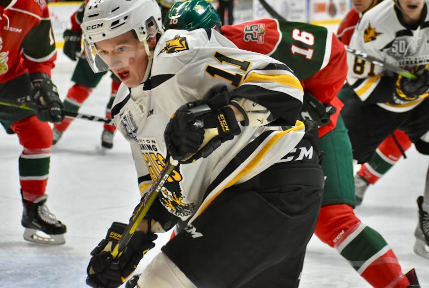 Right winger Derek Gentile of the Cape Breton Screaming Eagles is a study in concentration during first period action between the Mooseheads and the Cape Breton Screaming Eagles at Sydney’s Centre 200 on Friday night.