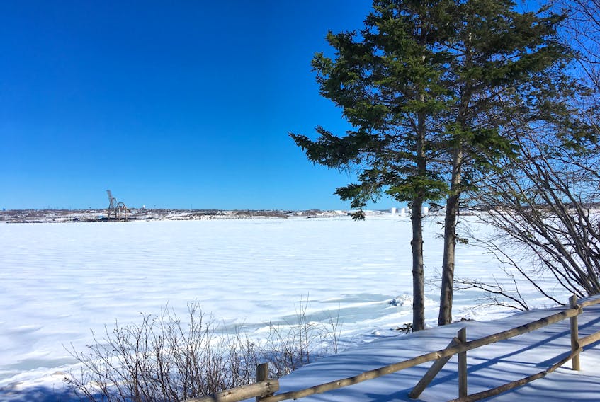 A view of Sydney harbour from a lookoff at Petersfield Provincial Park in Westmount. Despite no facilities offered in wintertime, plenty of visitors flock to the historic park that was once the home of industrialist J.S. McLennan and his family. ERIN POTTIE/CAPE BRETON POST