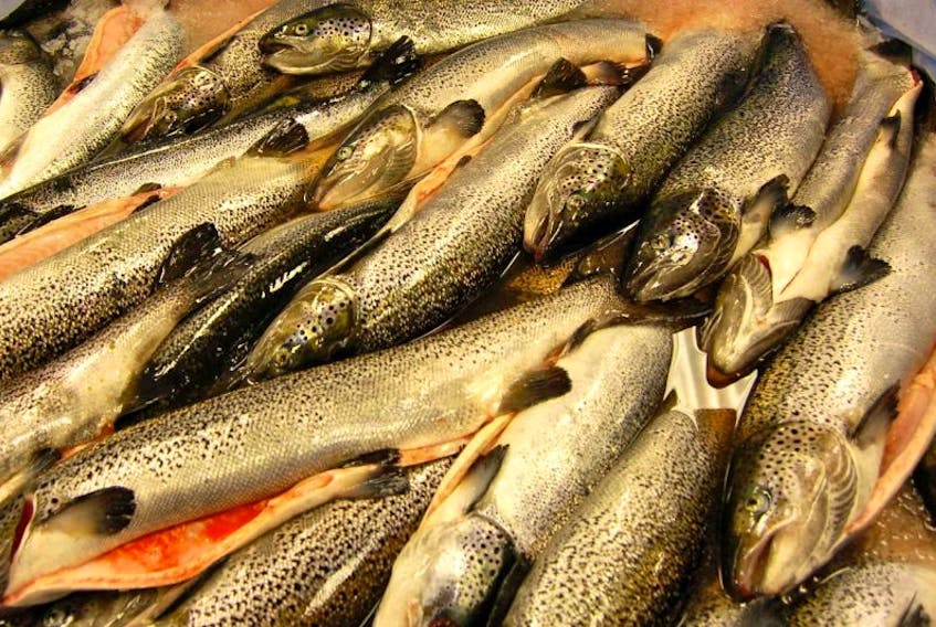 <p>Cooke Aquaculture is waiting on new fish farming regulations from the provincial government before continuing with their expansion plans in Nova Scotia. A planned processing plant in Shelburne is on hold until at least 2018.</p>
<p><strong>File photo</strong></p>
<p>&nbsp;</p>