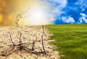 A conceptual scene — the metamorphosis of Earth, transition from a green environment to the hostile and arid climate due to climate change. STOCK IMAGE