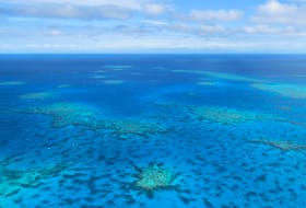 An aerial view of the Great Barrier Reef in Australia. The largest such ecosystem on the planet, almost two-thirds of it has been damaged or destroyed. STOCK IMAGE