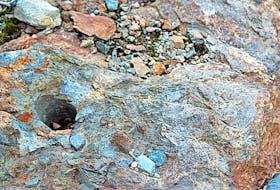 <p>In its more advanced form, prospecting work is taken up by junior mining companies, who will drill and pull cylinders of core from an area for mineral assay. This prospect property on the Avalon Peninsula, originally targeted for evidence of zinc, has seen some test drilling.</p>