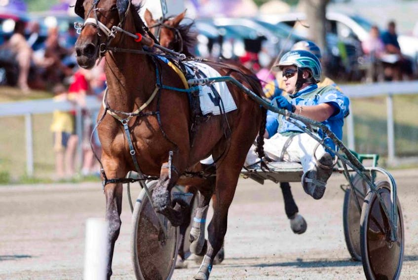 Driver Corey MacPherson glances over his shoulder as he takes Unsinkableone to the winners' circle in Race 8 in Tuesday afternoon's card at the Charlottetown Driving Park.<br /><br />