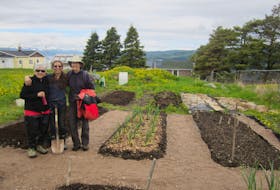 There are currently two community gardens in Corner Brook, including one at Brandon Park on the Humber Heights where, from left, Mazie Pendleton, Jennifer Pendleton and Jeri Graham tend plots. CONTRIBUTED