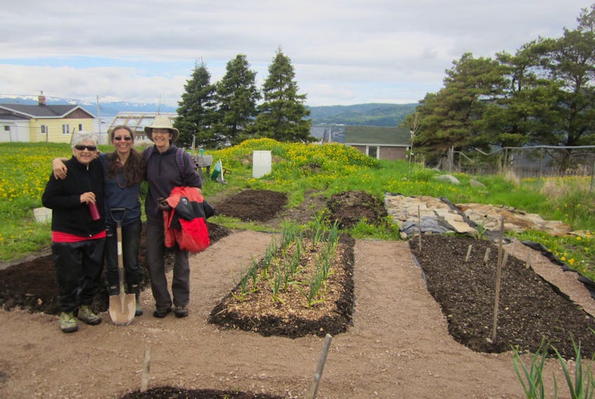 There are currently two community gardens in Corner Brook, including one at Brandon Park on the Humber Heights where, from left, Mazie Pendleton, Jennifer Pendleton and Jeri Graham tend plots. CONTRIBUTED