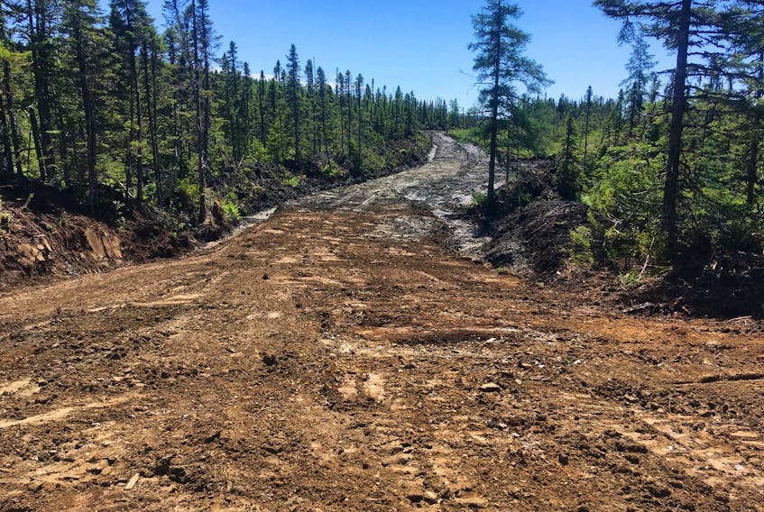Upgrades to the snowmobile/ATV trail from Watson’s Pond Road to the T’Railway will extend on work, pictured here, that the Western Sno-Riders, Newfoundland and Labrador Snowmobile Federation and the City of Corner Brook recently partnered to complete on the green tank trail located off Lundrigan Drive.
