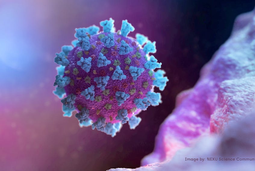 A computer image created by Nexu Science Communication together with Trinity College in Dublin, shows a model of the coronavirus that causes COVID-19.