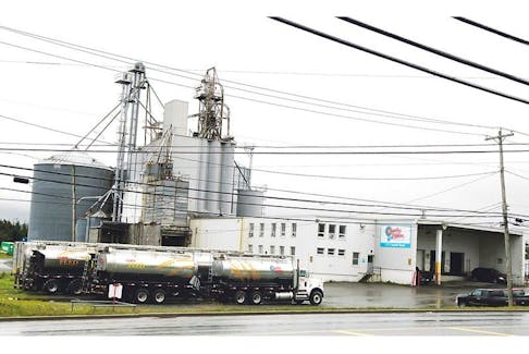 Country Ribbon’s feed plant on Topsail Road.