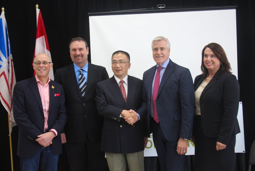 In the early part of 2019, there was plenty of optimism from the provincial government and investors at the announcement of plans to reopen the Beaver Brook Antimony Mine near Glenwood. Earlier this week it was announced the mine was suspending operations, citing the COVID-19 pandemic as one of the reasons. — SaltWire Network file photo 