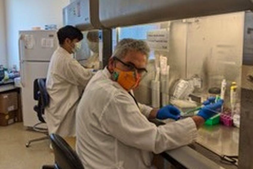 Dr. Horacio Bach, an adjunct professor in the division of infectious diseases at the UBC Faculty of Medicine, and his team are testing antibodies for 18 hours a day, trying to find the right ones to use in a treatment to help COVID-19 patients.