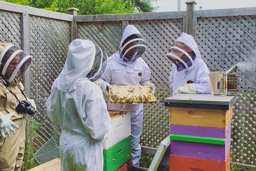 Youth BEEA keepers Martina Redden, Melissa Walters and Christina Birrell check the hive at the Greystone Community Garden in Dartmouth.