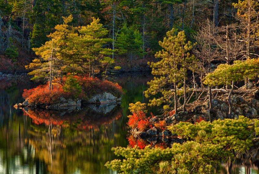 The Nature Trust is campaigning to secure the Blue Mountain Wilderness Connector, a major ‘missing link’ in a beloved Halifax urban wilderness. The image above shows an autumn evening at Charlies Lake. - Irwin Barrett